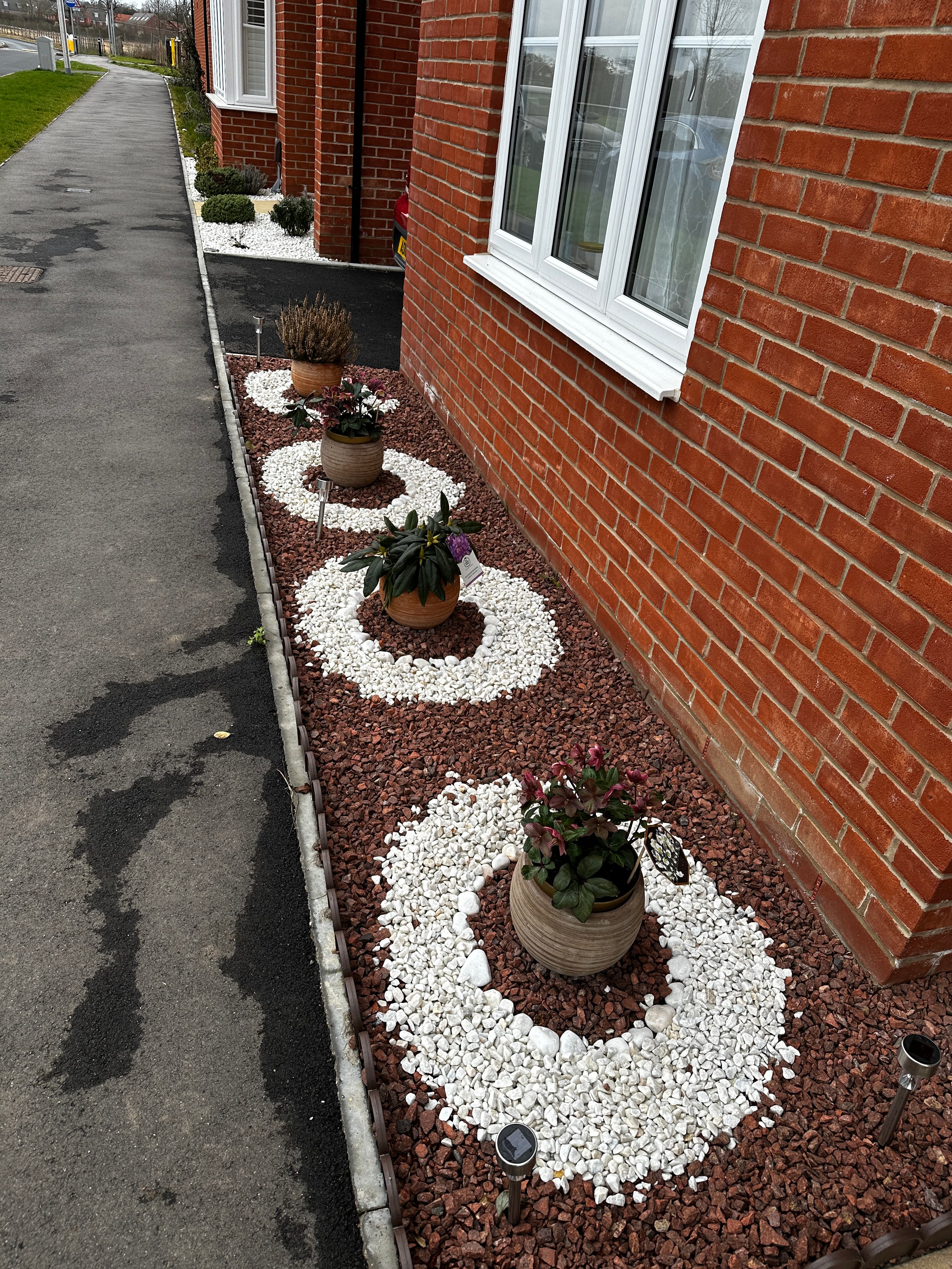 Garden Transformation — photo 4