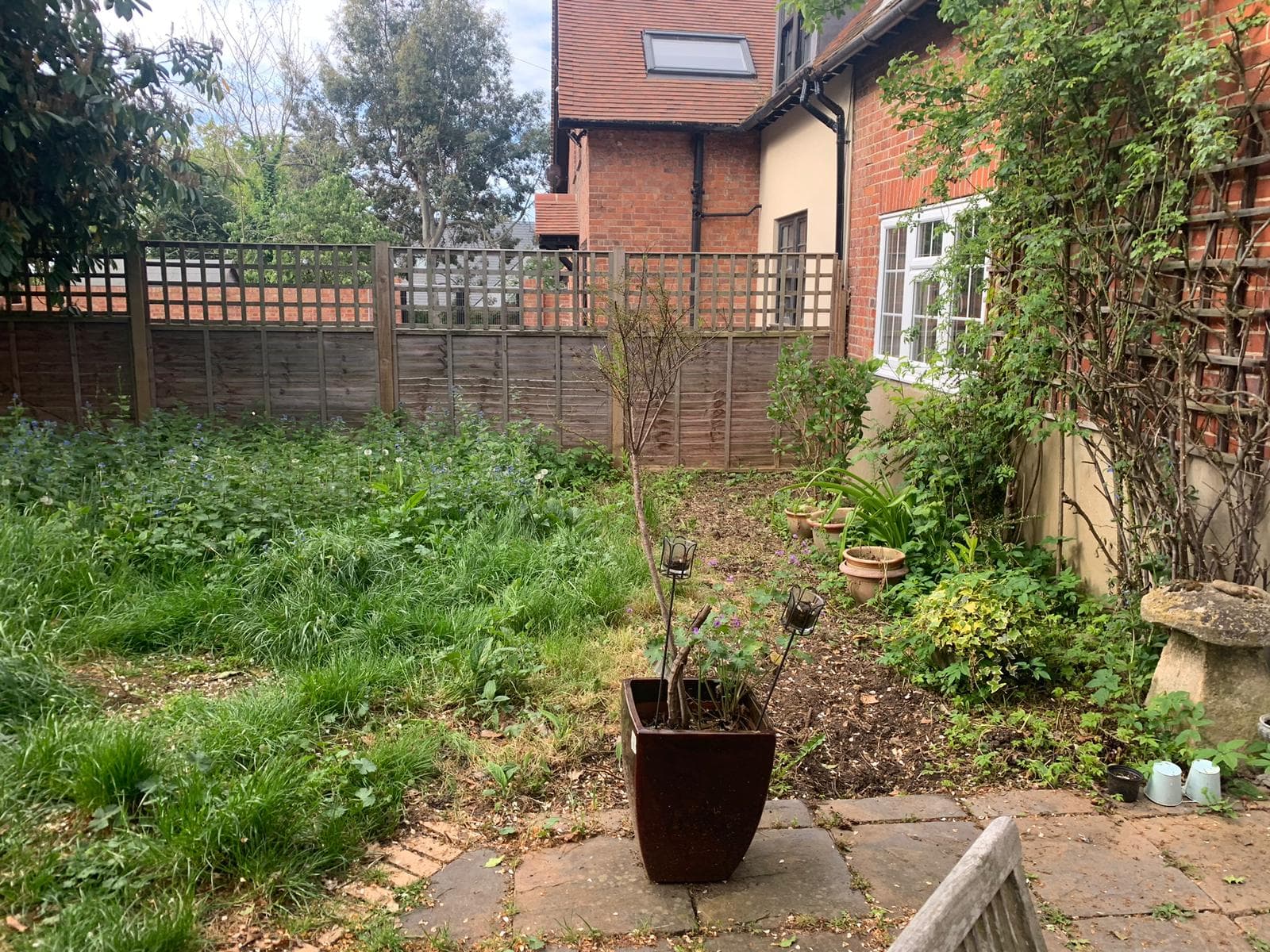 Garden Transformation — photo 69